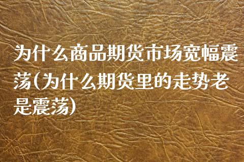 为什么商品期货市场宽幅震荡(为什么期货里的走势老是震荡) (https://www.njaxzs.com/) 内盘期货 第1张