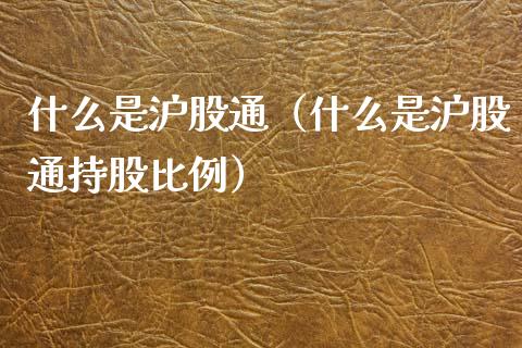 什么是沪股通（什么是沪股通持股比例） (https://www.njaxzs.com/) 内盘期货 第1张