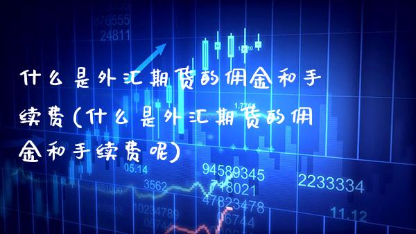 什么是外汇期货的佣金和手续费(什么是外汇期货的佣金和手续费呢) (https://www.njaxzs.com/) 期货直播间 第1张