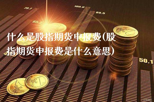 什么是股指期货申报费(股指期货申报费是什么意思) (https://www.njaxzs.com/) 期货投资 第1张