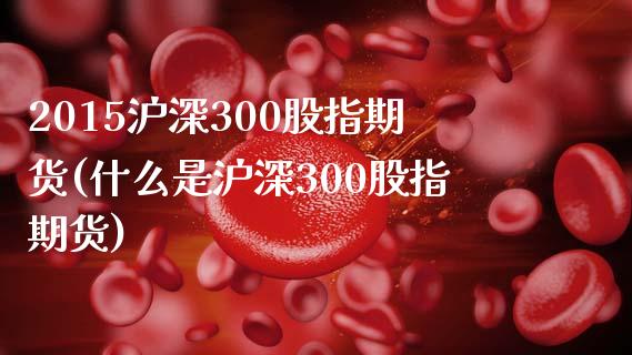 2015沪深300股指期货(什么是沪深300股指期货) (https://www.njaxzs.com/) 期货投资 第1张