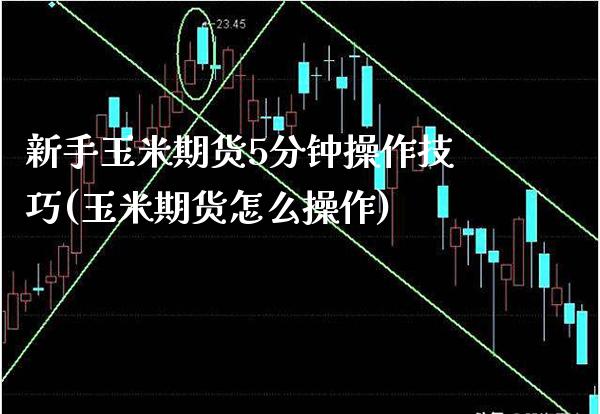 新手玉米期货5分钟操作技巧(玉米期货怎么操作) (https://www.njaxzs.com/) 期货行情 第1张