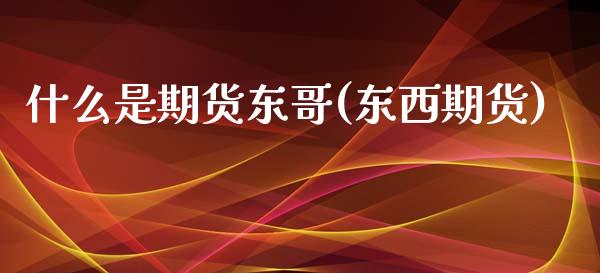 什么是期货东哥(东西期货) (https://www.njaxzs.com/) 期货行情 第1张