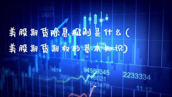 美股期货除息规则是什么(美股期货期权的基本知识) (https://www.njaxzs.com/) 期货直播间 第1张