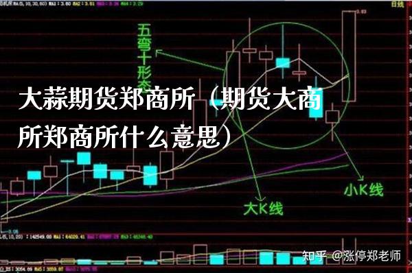 大蒜期货郑商所（期货大商所郑商所什么意思） (https://www.njaxzs.com/) 期货直播间 第1张