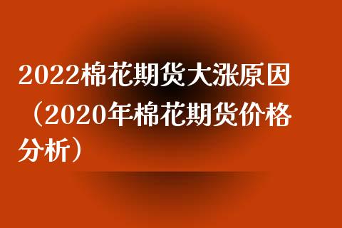 2022棉花期货大涨原因（2020年棉花期货分析） (https://www.njaxzs.com/) 期货开户 第1张