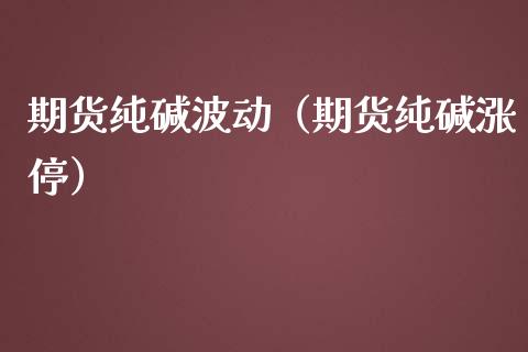 期货纯碱波动（期货纯碱涨停） (https://www.njaxzs.com/) 期货直播间 第1张