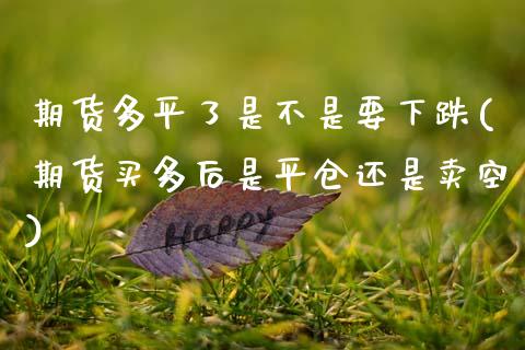 期货多平了是不是要下跌(期货买多后是平仓还是卖空) (https://www.njaxzs.com/) 期货行情 第1张
