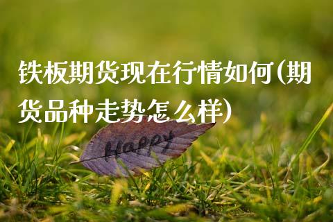 铁板期货现在行情如何(期货品种走势怎么样) (https://www.njaxzs.com/) 期货投资 第1张