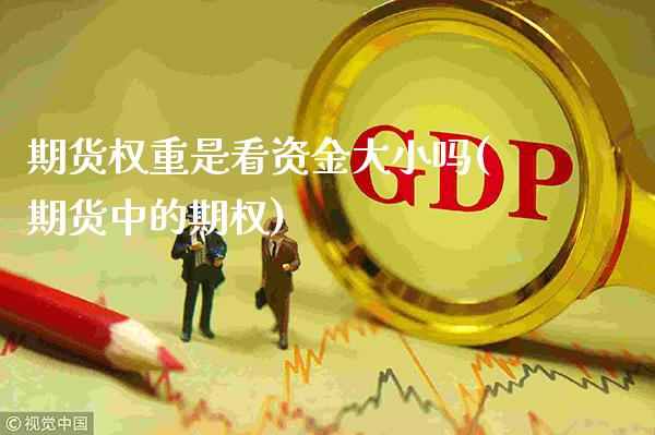 期货权重是看资金大小吗(期货中的期权) (https://www.njaxzs.com/) 原油期货 第1张