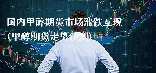 国内甲醇期货市场涨跌互现(甲醇期货走势预测) (https://www.njaxzs.com/) 期货直播间 第1张