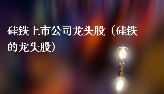硅铁上市公司龙头股（硅铁的龙头股） (https://www.njaxzs.com/) 期货行情 第1张