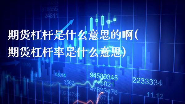 期货杠杆是什么意思的啊(期货杠杆率是什么意思) (https://www.njaxzs.com/) 期货直播间 第1张