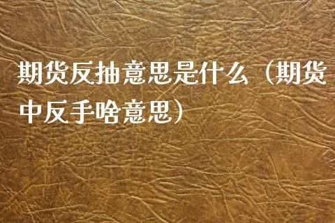 期货反抽意思是什么（期货中反手啥意思） (https://www.njaxzs.com/) 期货直播间 第1张