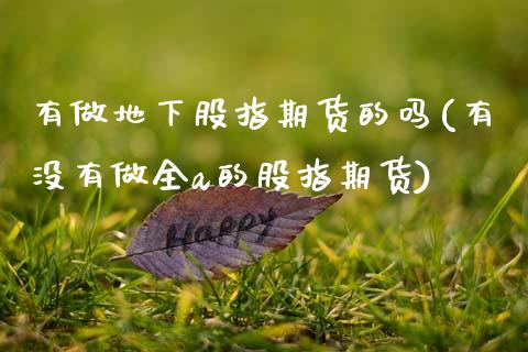 有做地下股指期货的吗(有没有做全a的股指期货) (https://www.njaxzs.com/) 原油期货 第1张