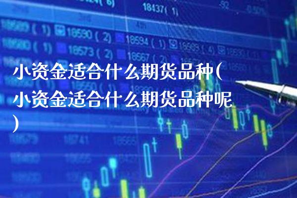 小资金适合什么期货品种(小资金适合什么期货品种呢) (https://www.njaxzs.com/) 内盘期货 第1张