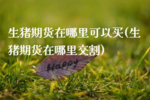 生猪期货在哪里可以买(生猪期货在哪里交割) (https://www.njaxzs.com/) 期货直播间 第1张