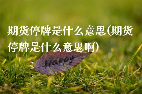 期货停牌是什么意思(期货停牌是什么意思啊) (https://www.njaxzs.com/) 期货直播间 第1张