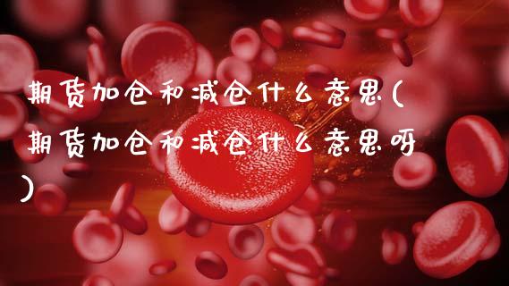 期货加仓和减仓什么意思(期货加仓和减仓什么意思呀) (https://www.njaxzs.com/) 黄金期货 第1张