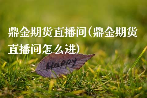 鼎金期货直播间(鼎金期货直播间怎么进) (https://www.njaxzs.com/) 黄金期货 第1张