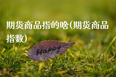 期货商品指的啥(期货商品指数) (https://www.njaxzs.com/) 期货直播间 第1张