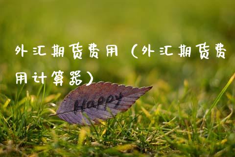 外汇期货费用（外汇期货费用计算器） (https://www.njaxzs.com/) 期货行情 第1张