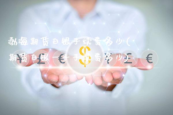 渤海期货白银手续费多少(期货白银一手手续费多少) (https://www.njaxzs.com/) 期货行情 第1张