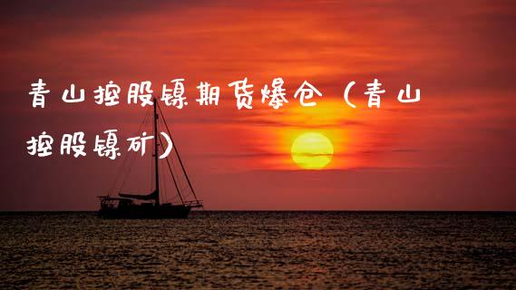 青山控股镍期货爆仓（青山控股镍矿） (https://www.njaxzs.com/) 内盘期货 第1张