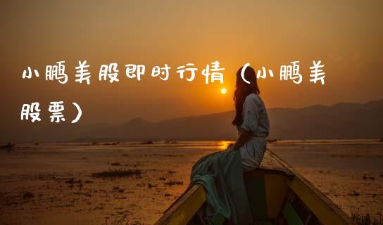 小鹏美股即时行情（小鹏美股票） (https://www.njaxzs.com/) 内盘期货 第1张