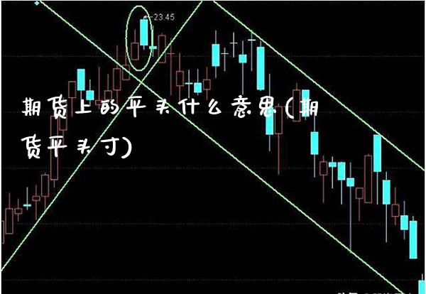 期货上的平头什么意思(期货平头寸) (https://www.njaxzs.com/) 期货直播间 第1张
