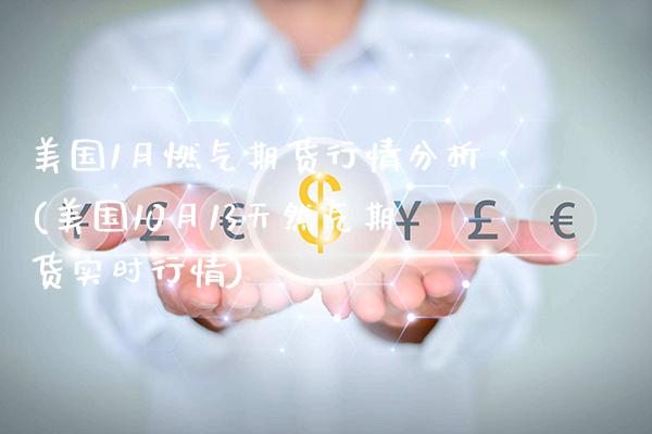 美国1月燃气期货行情分析(美国10月13天然气期货实时行情) (https://www.njaxzs.com/) 内盘期货 第1张