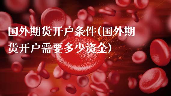 国外期货开户条件(国外期货开户需要多少资金) (https://www.njaxzs.com/) 内盘期货 第1张