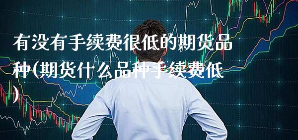 有没有手续费很低的期货品种(期货什么品种手续费低) (https://www.njaxzs.com/) 期货投资 第1张