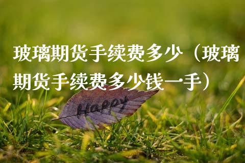 玻璃期货手续费多少（玻璃期货手续费多少钱一手） (https://www.njaxzs.com/) 期货直播间 第1张