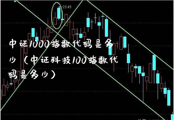 中证1000指数代码是多少（中证科技100指数代码是多少） (https://www.njaxzs.com/) 期货行情 第1张