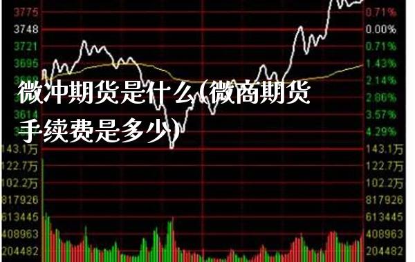 微冲期货是什么(微商期货手续费是多少) (https://www.njaxzs.com/) 期货直播间 第1张