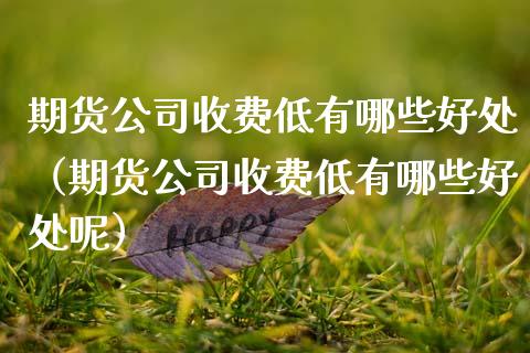 期货公司收费低有哪些好处（期货公司收费低有哪些好处呢） (https://www.njaxzs.com/) 期货直播间 第1张