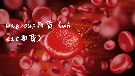 wagroup期货（wheat期货） (https://www.njaxzs.com/) 期货直播间 第1张