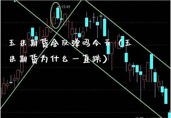 玉米期货会反弹吗今天（玉米期货为什么一直跌） (https://www.njaxzs.com/) 期货直播间 第1张