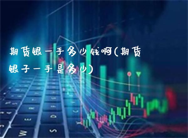 期货银一手多少钱啊(期货银子一手是多少) (https://www.njaxzs.com/) 期货直播间 第1张