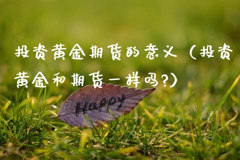 投资黄金期货的意义(投资黄金和期货一样吗?) 黄金期货 第1张-爱新财经 投资黄金期货的意义(投资黄金和期货一样吗?) (https://www.njaxzs.com/) 黄金期货 第1张