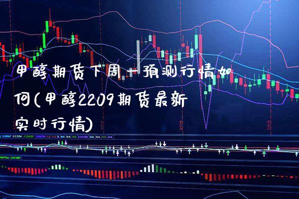 甲醇期货下周一预测行情如何(甲醇2209期货最新实时行情) (https://www.njaxzs.com/) 期货开户 第1张