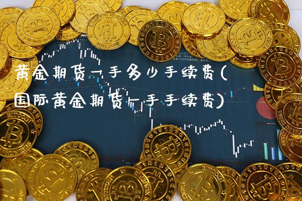 黄金期货一手多少手续费(国际黄金期货一手手续费) (https://www.njaxzs.com/) 期货直播间 第1张