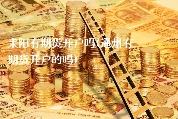 耒阳有期货开户吗(通州有期货开户的吗) (https://www.njaxzs.com/) 期货开户 第1张