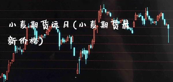 小麦期货远月(小麦期货最新价格) (https://www.njaxzs.com/) 期货直播间 第1张