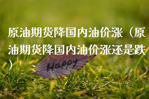 原油期货降国内油价涨（原油期货降国内油价涨还是跌） (https://www.njaxzs.com/) 期货行情 第1张