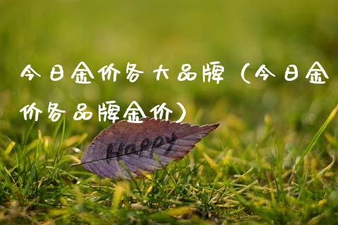 今日金价各大品牌（今日金价各品牌金价） (https://www.njaxzs.com/) 黄金期货 第1张