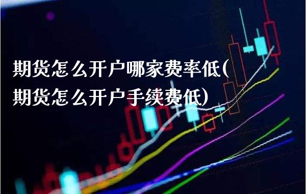 期货怎么开户哪家费率低(期货怎么开户手续费低) (https://www.njaxzs.com/) 期货开户 第1张
