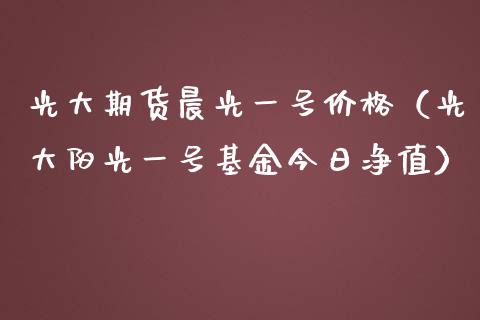 光大期货晨光一号（光大阳光一号基金今日净值） (https://www.njaxzs.com/) 期货直播间 第1张