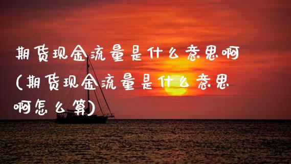 期货现金流量是什么意思啊(期货现金流量是什么意思啊怎么算) (https://www.njaxzs.com/) 原油期货 第1张